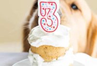 Happy Barkday Coconut Honey Cake