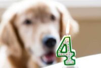 Happy Fourth Birthday Duke Frozen Pupcakes