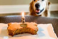Woofday Wonder Cake