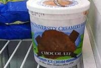 Optimize Your Freezer: Stocking and Organizing Secrets