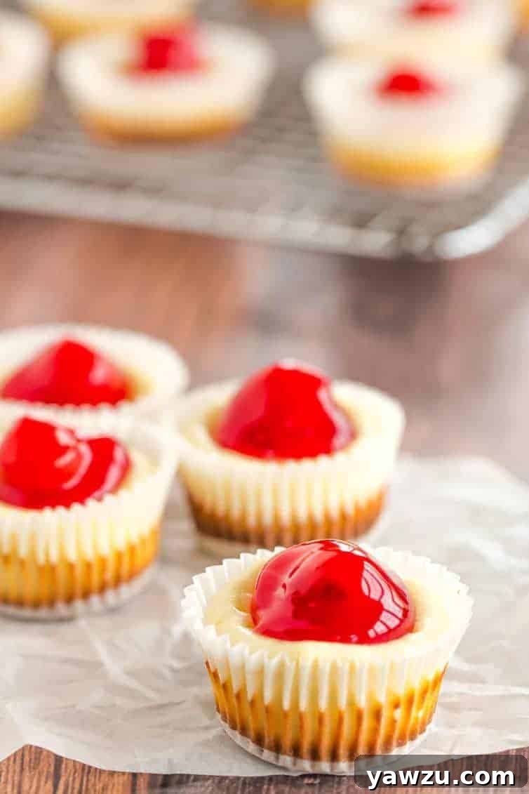 Mini Cheesecake Cookies on a Platter with Cherry Topping for Holidays