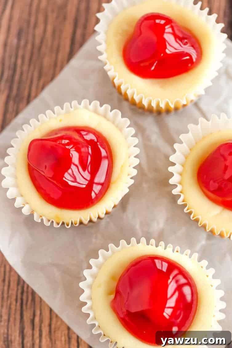 Hand holding a Mini Cheesecake Cookie with Cherry Topping