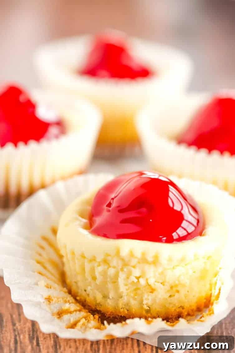 Arrangement of Easy Mini Cheesecakes with Cherry Filling on a White Plate
