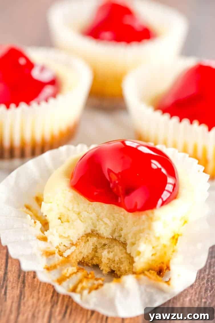 Holiday Cookie Tray Featuring Mini Cheesecake Cookies