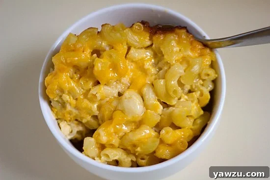 Baked macaroni and cheese in a white bowl with a spoon.