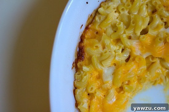 Overhead image of baked macaroni and cheese in a white baking dish.