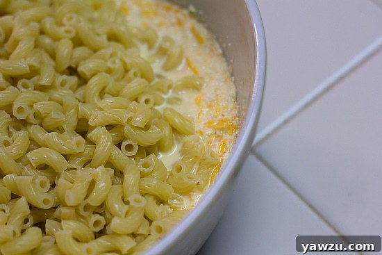 Noodles and cheese sauce before mixing.