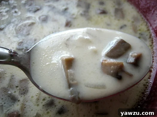 A close-up view of a spoon laden with rich, creamy wild mushroom soup, garnished with fresh herbs, emphasizing its inviting texture and depth of flavor.