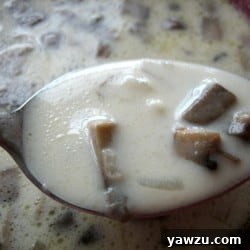 Close up image of a spoon full of cream of mushroom soup, inviting and rich.
