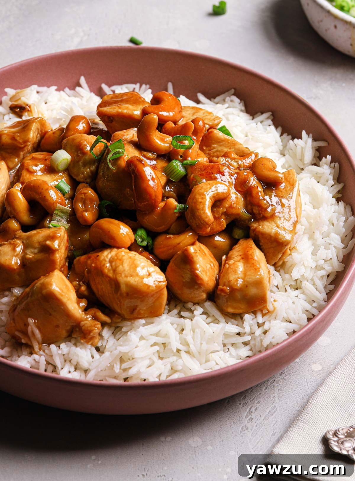 Stir-fried chicken with cashews served over white rice with green onions.