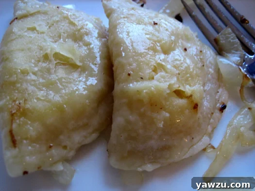 Two freshly cooked and fried pierogies resting on a clean white plate, garnished with a sprinkle of fresh herbs.