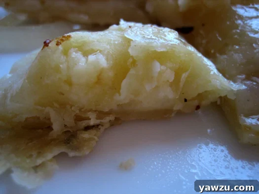A close-up view of a single, perfectly formed pierogi on a white plate, showcasing its golden-brown exterior and crimped edges.
