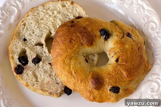 Overhead image of a perfectly baked blueberry bagel, artfully sliced in half to reveal its tender, fruit-studded interior, resting on a clean white plate.
