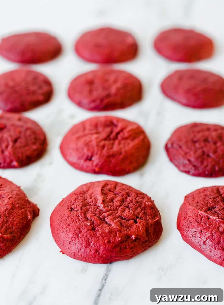 Freshly baked red velvet whoopie pie cakes cooling on a parchment-lined baking sheet, showing their even, rounded tops.