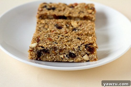 Homemade granola bars, showcasing the detailed texture of oats, dried figs, dates, and almonds, presented neatly on a white plate.