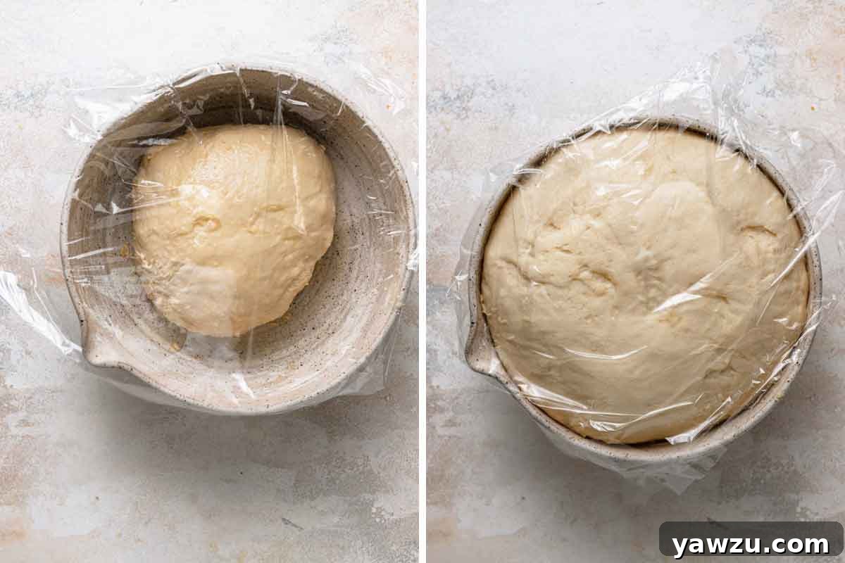 Before and after photos of king cake dough rising in a bowl until doubled in size.