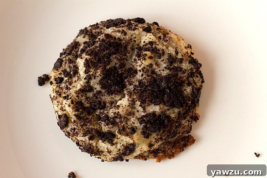An overhead shot of a single, perfectly baked Oreo cheesecake cookie on a minimalist white plate.