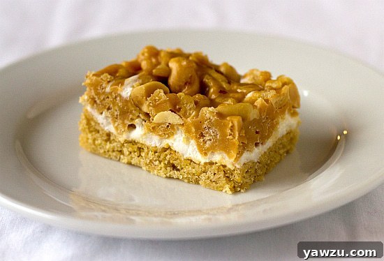 One salted peanut chew bar on a white plate.
