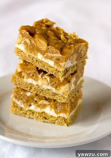 Stack of 3 salted peanut chew bars on a white plate.