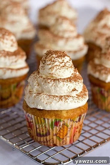 Frosted tiramisu cupcakes on a cooling rack, showcasing their delicate topping.