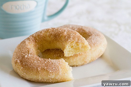 Close-up of two homemade cinnamon sugar oven-baked doughnuts on a white plate, with one revealing a bite taken, highlighting its fluffy interior.
