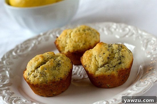 Three perfectly baked lemon poppy seed muffins sit invitingly on a pristine white plate, promising a delightful culinary experience.
