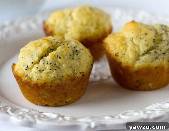 A closer view of three lemon poppy seed muffins on a white plate, highlighting their golden-brown tops and speckled interiors.