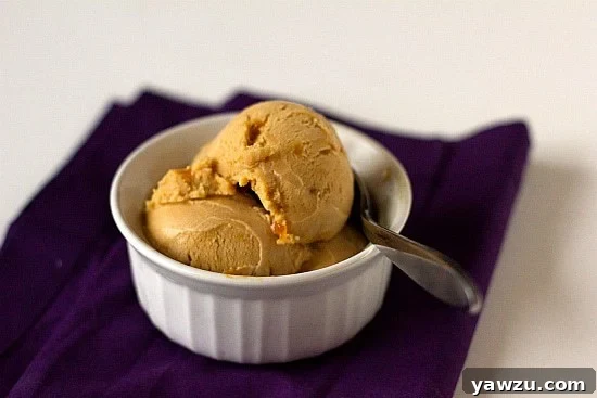 Scoops of salted caramel ice cream in a white bowl with a spoon, highlighting its creamy texture.