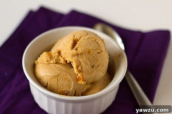 Close-up shot of creamy scoops of homemade salted caramel ice cream in a white bowl.