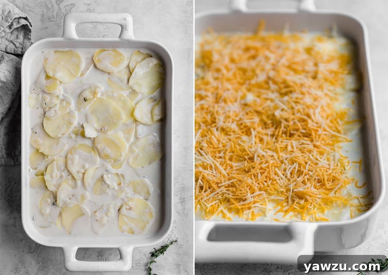 Uncooked scalloped potato ingredients in a baking dish + Baking dish with scalloped potato ingredients covered in shredded cheese