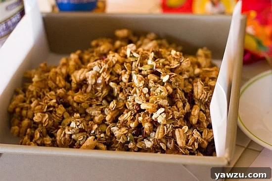 The wholesome homemade granola bar mixture, perfectly spread and pressed into a parchment paper-lined baking pan, poised and ready to be baked to golden perfection.