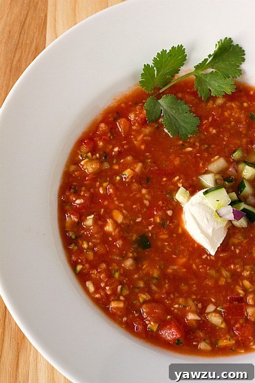 Vibrant, red gazpacho elegantly served in a white bowl, garnished with fresh herbs, viewed from above.