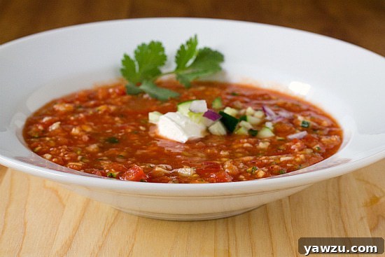 A beautiful bowl of homemade gazpacho, garnished with fresh herbs and a drizzle of olive oil, ready to be enjoyed.