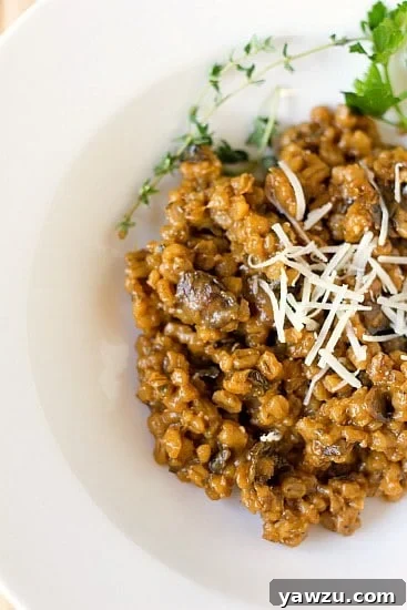 Creamy Mushroom Barley Risotto served on a white plate, garnished with fresh herbs, viewed from above.