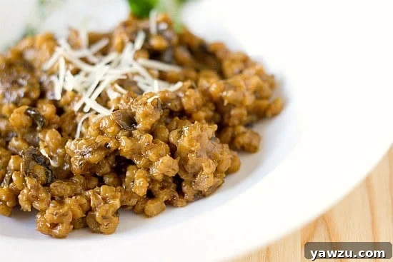 A close-up shot of mushroom barley risotto on a white plate, showcasing its creamy texture and mushroom pieces.