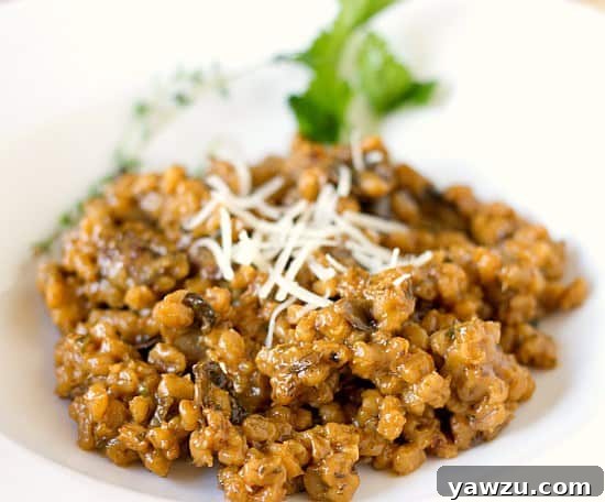 Mushroom barley risotto generously served on a white plate, highlighting the rich, earthy ingredients.