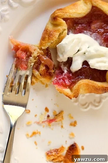 Overhead view of a beautifully baked rhubarb pie tartlet on a white plate, showcasing its vibrant pink filling and golden-brown, rustic crust, with a fork poised for a delicious bite.