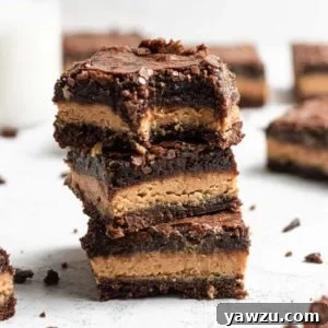 Peanut Butter Brownies