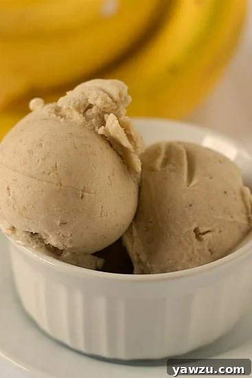 Scoops of roasted banana ice cream in a white bowl.