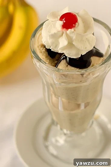 Scoops of roasted banana ice cream in a glass topped with hot fudge, whipped cream, and a cherry.