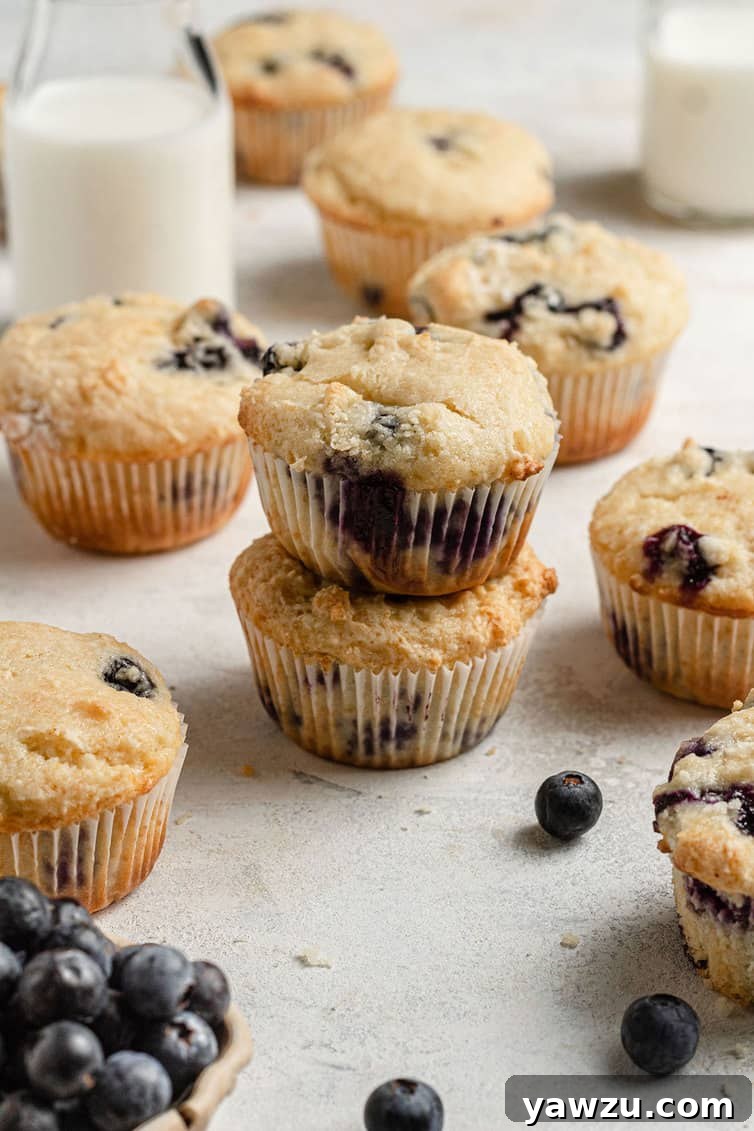 Two blueberry muffins stacked on top of each other with others in the background.
