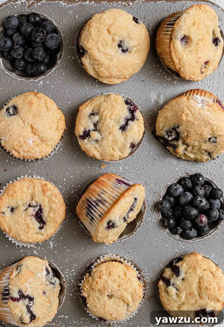 Baked blueberry muffins in a muffin pan.