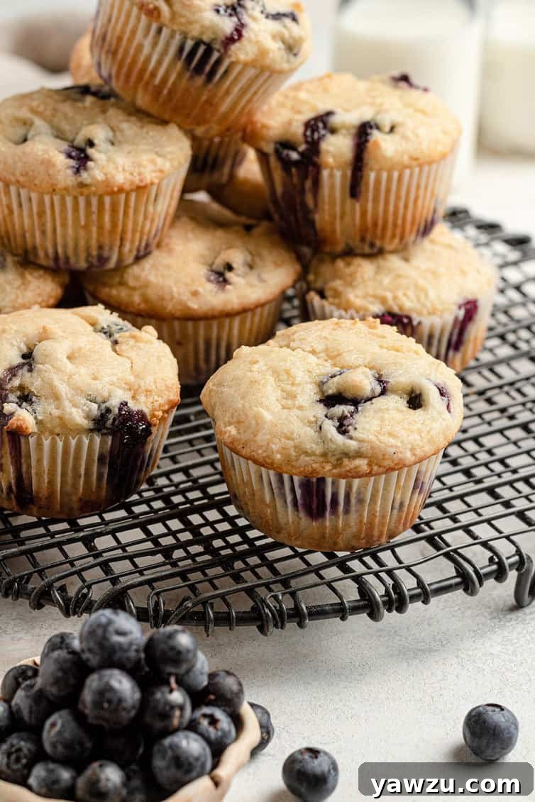 Blueberry muffins on a cooling rack.