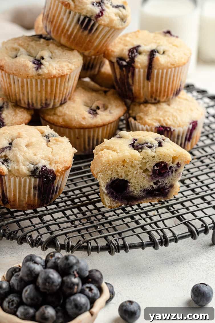 A blueberry muffin cut in half on a cooling rack.