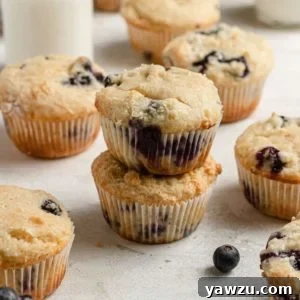 The Best Blueberry Muffins