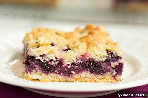 Sweet and Tangy Blueberry Crumb Bars with Buttery Topping