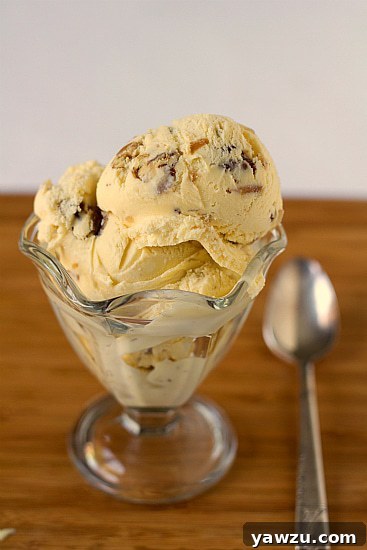 Scoops of date, rum, and pecan ice cream in a glass bowl with a spoon.