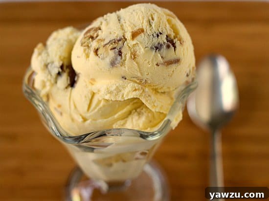 Scoops of date, rum, and pecan ice cream in a glass bowl with a spoon.