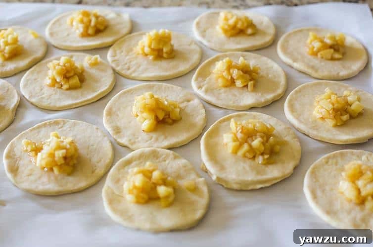 Circles of dough topped with sweet apple filling, ready to be folded.