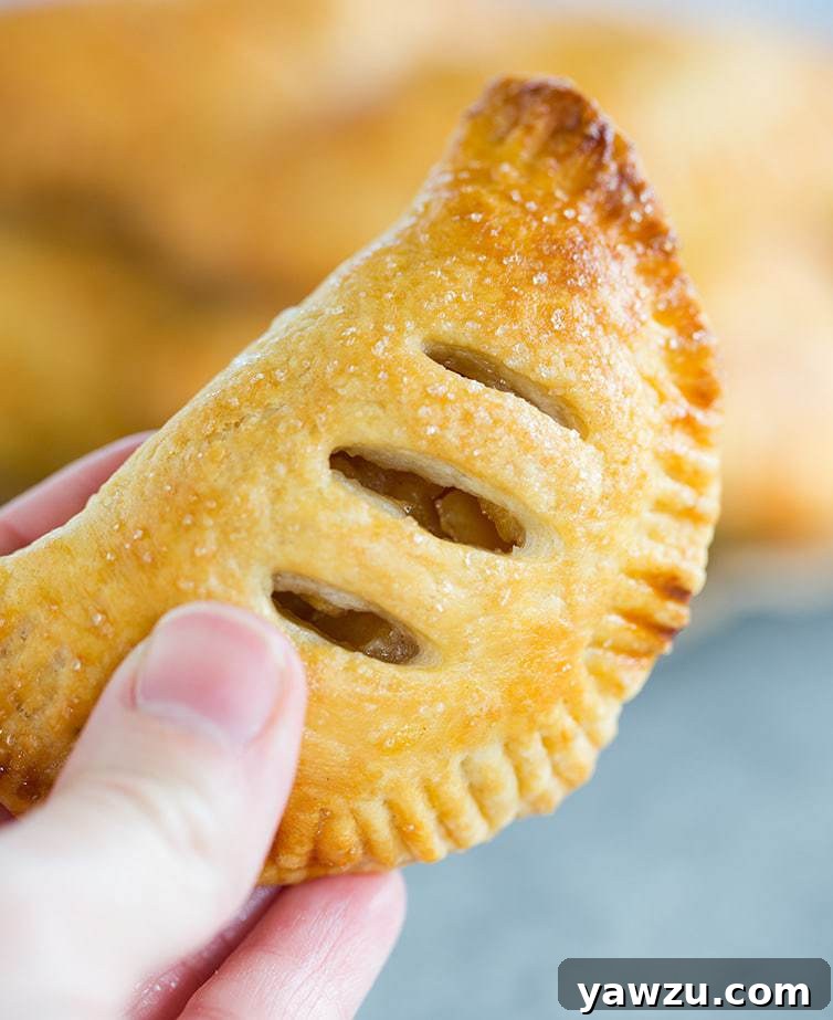 Beautifully baked Apple Hand Pies, golden and irresistible.